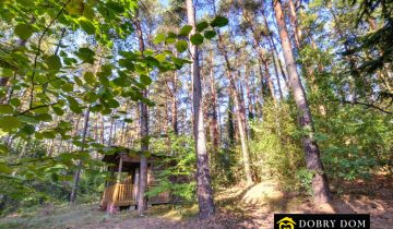 dom letniskowy, 1 pokój Giby