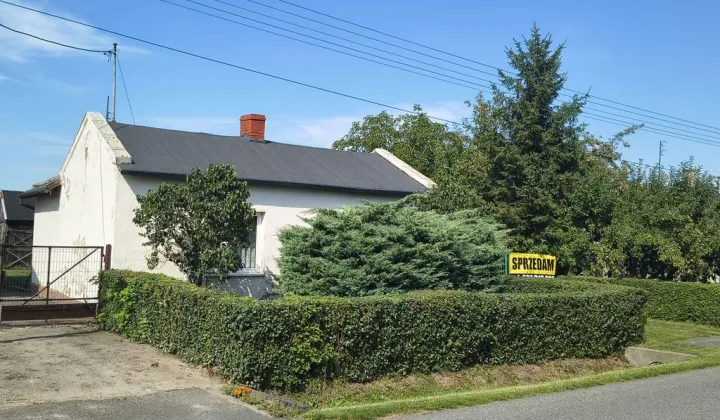 dom wolnostojący, 2 pokoje Janów
