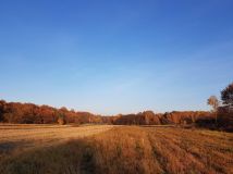 Działka rolna Warszawa Ursynów, ul. Muchomora. Zdjęcie 3