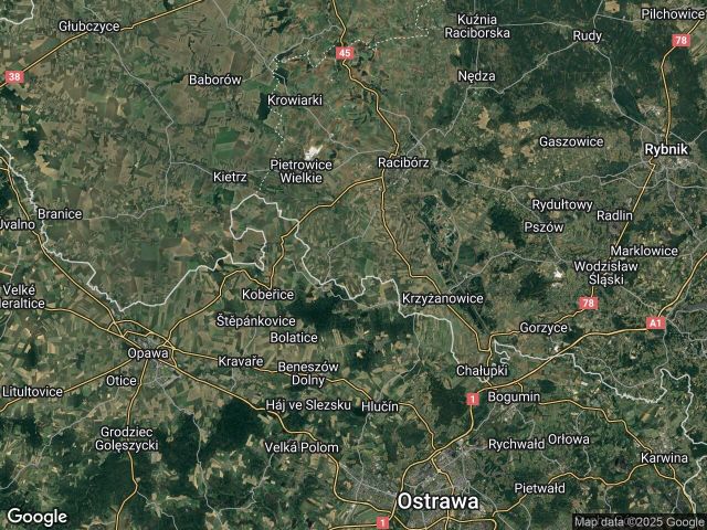 Działka inwestycyjna Borucin. Zdjęcie 1