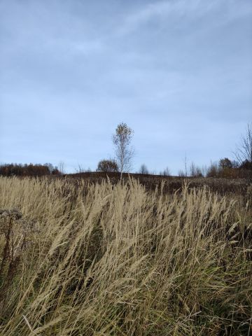 Działka rolna Ubocze. Zdjęcie 1
