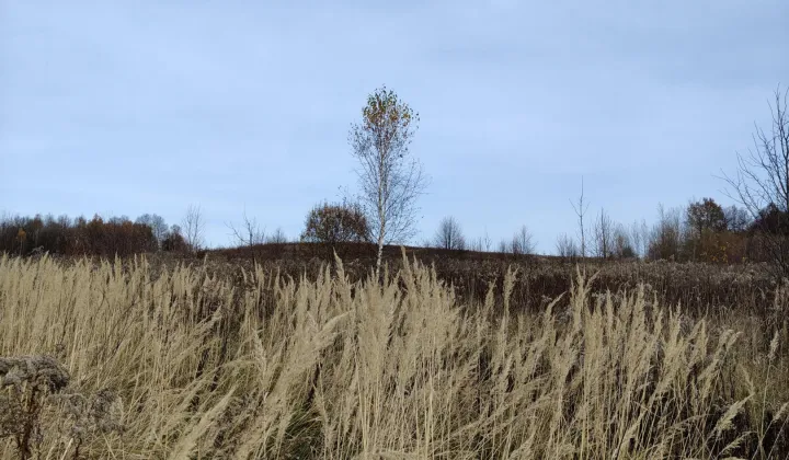 Działka rolna Ubocze