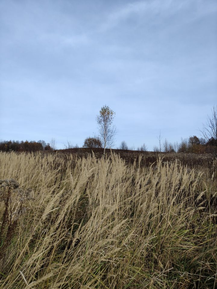 Działka rolna Ubocze. Zdjęcie 1