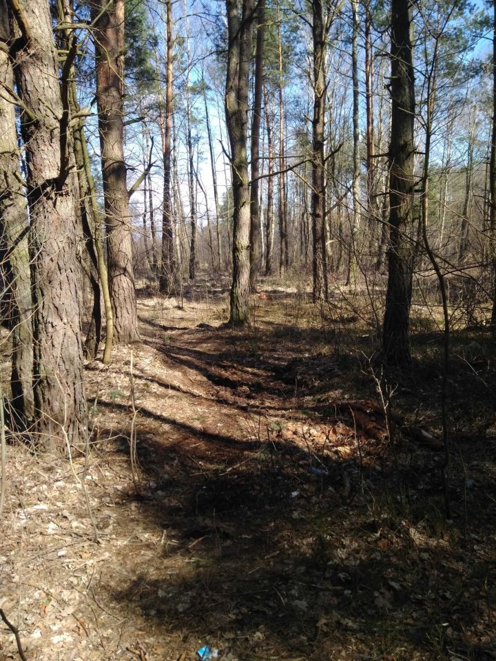 Działka Kąck, ul. Partyzantów. Zdjęcie 5