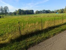Działka budowlana Mnich, ul. Świerkowa. Zdjęcie 2