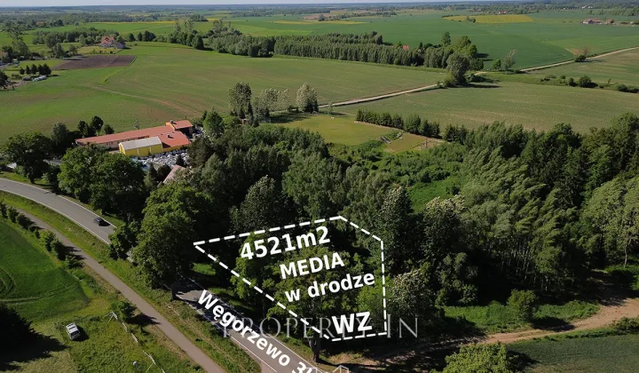 Działka budowlana Trygort