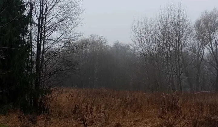 Działka budowlana Joanin