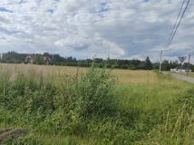 Działka budowlana Adamów. Zdjęcie 3