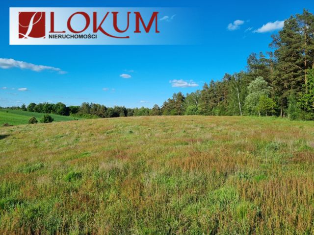 Działka budowlana Lipy. Zdjęcie 12