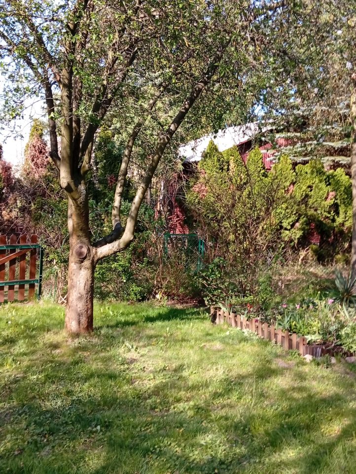 Działka rod Wólka Kozodawska, ul. Główna. Zdjęcie 7