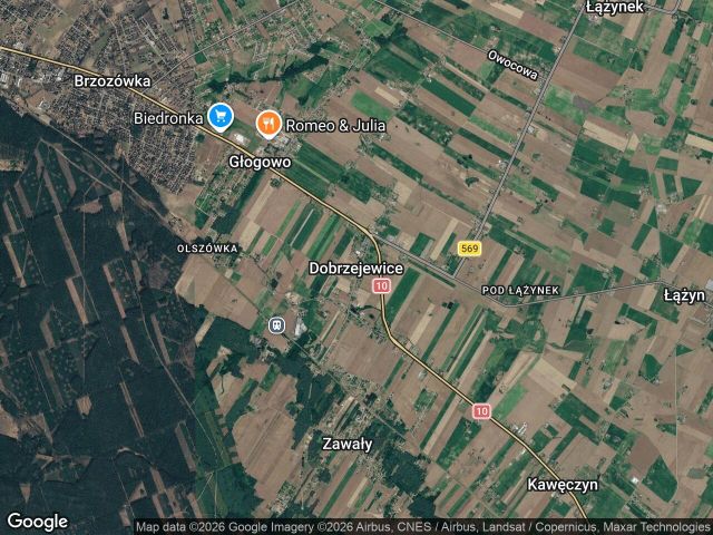 Działka leśna Dobrzejewice. Zdjęcie 1