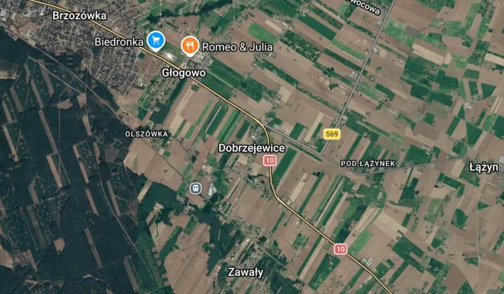 Działka leśna Dobrzejewice