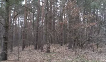 Działka leśna Leśniczówka