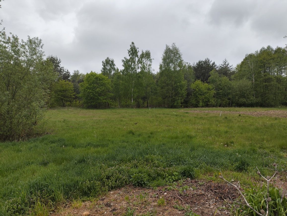 Działka budowlana Sokule