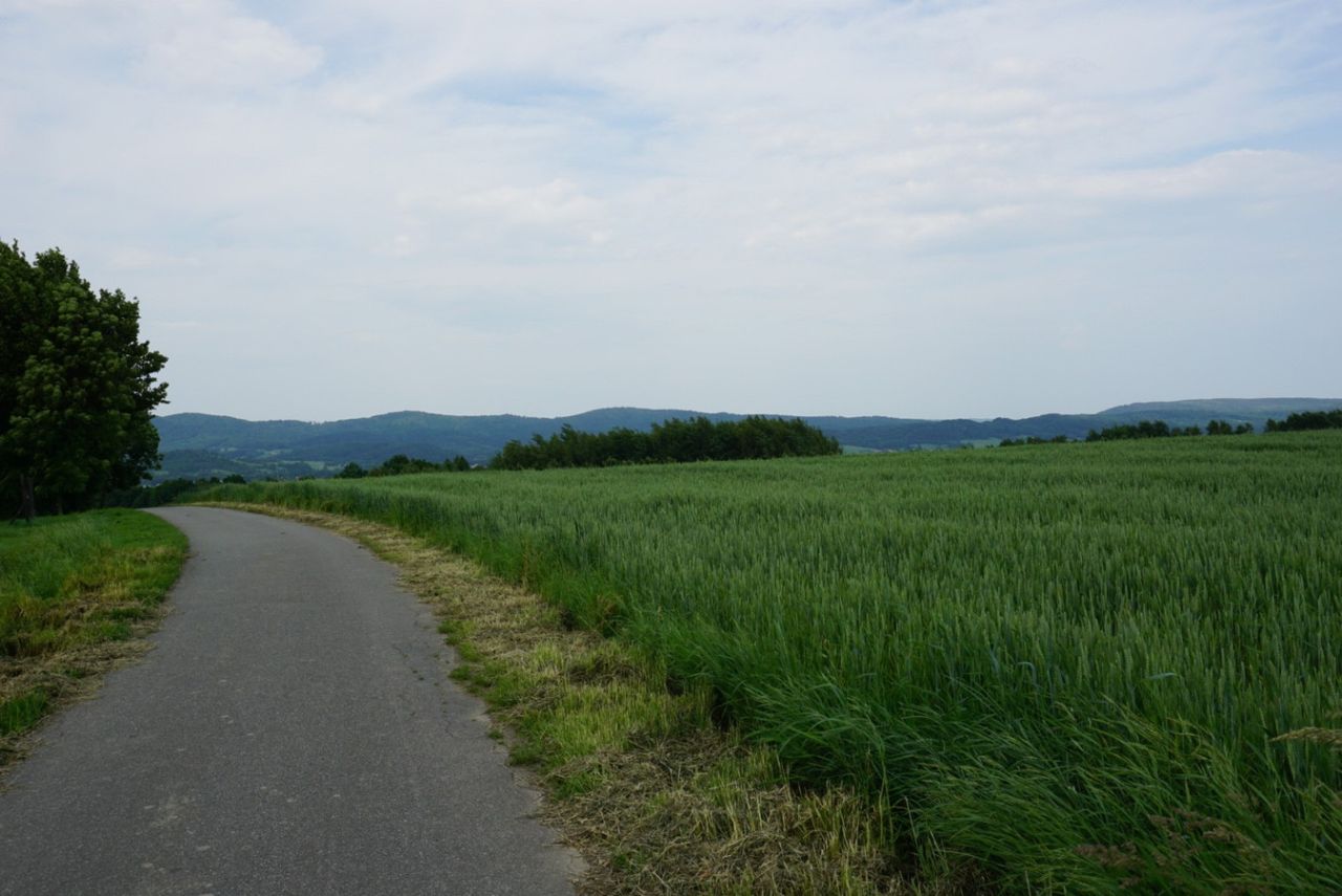 Działka budowlana Przybówka. Zdjęcie 4