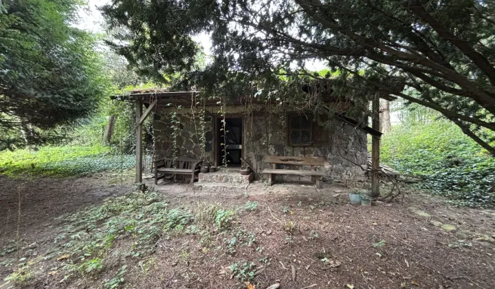 Działka rolno-budowlana Chojnata