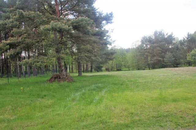 Działka rolno-budowlana Kasparus. Zdjęcie 1