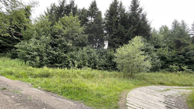 Działka rolna Stara Wieś Rola. Zdjęcie 1