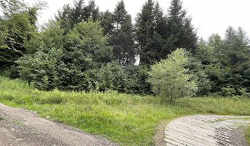 Działka rolna Stara Wieś Rola