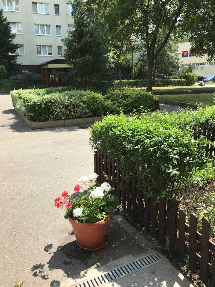 Mieszkanie 2-pokojowe Warszawa Bemowo, ul. Puszczy Solskiej. Zdjęcie 6