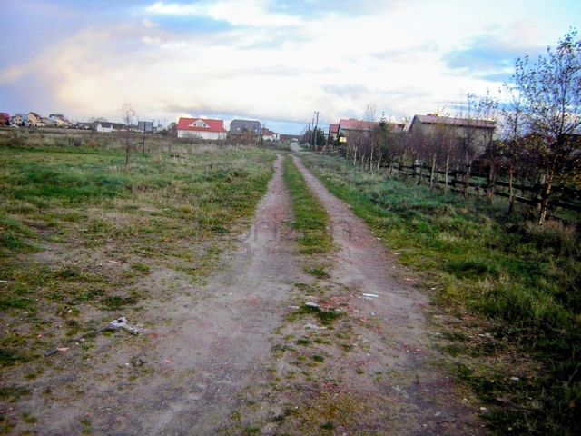 Działka rolna Grzybowo. Zdjęcie 4