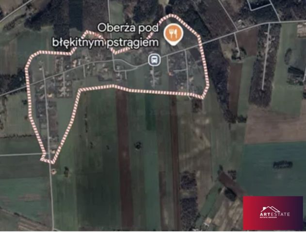 Działka budowlana Borchówka. Zdjęcie 2