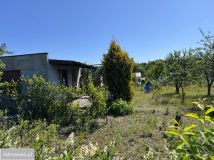 Działka rod Dolaszewo. Zdjęcie 2