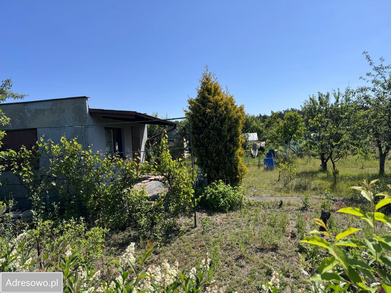 Działka rod Dolaszewo. Zdjęcie 3