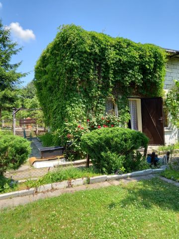 Działka rekreacyjna Czeladź Piaski, ul. Borowa. Zdjęcie 1