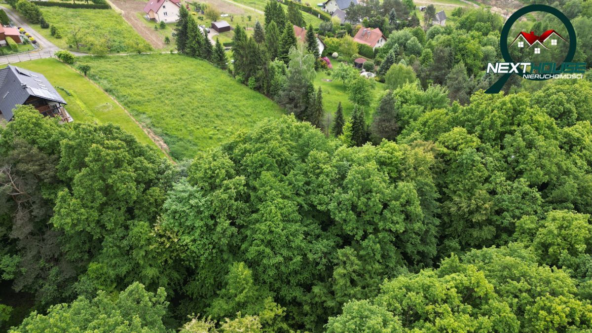 Działka inwestycyjna Głogoczów. Zdjęcie 4