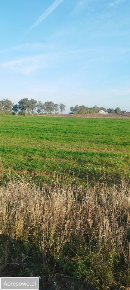 Działka budowlana Lulkowo. Zdjęcie 2