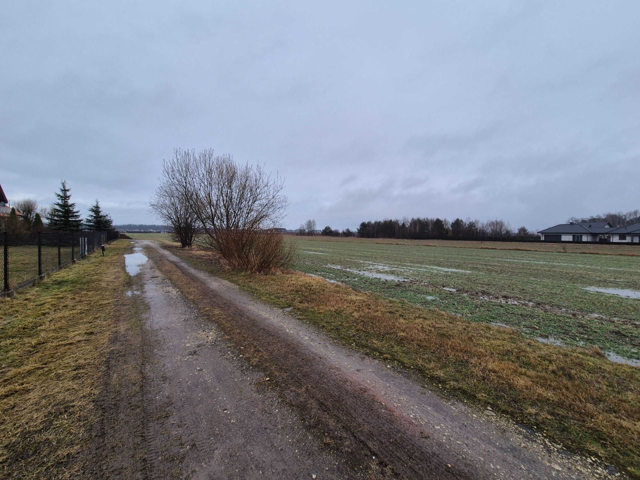 Działka budowlana Michałów, ul. Fiołkowa. Zdjęcie 4