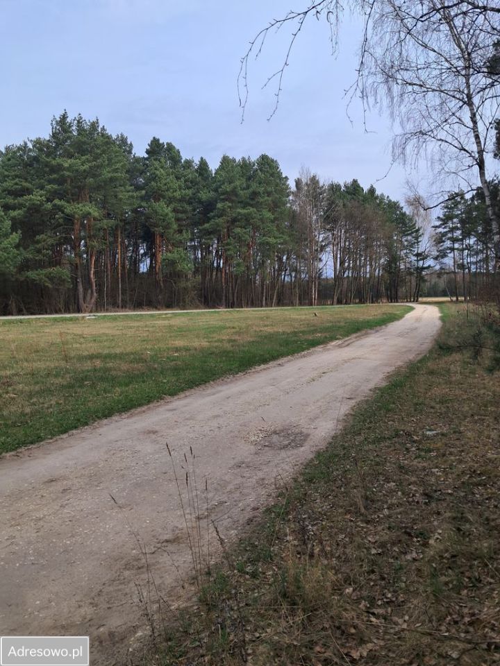 Działka budowlana Kurzelów. Zdjęcie 7