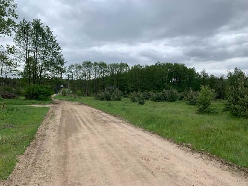 Działka budowlana Graby. Zdjęcie 8