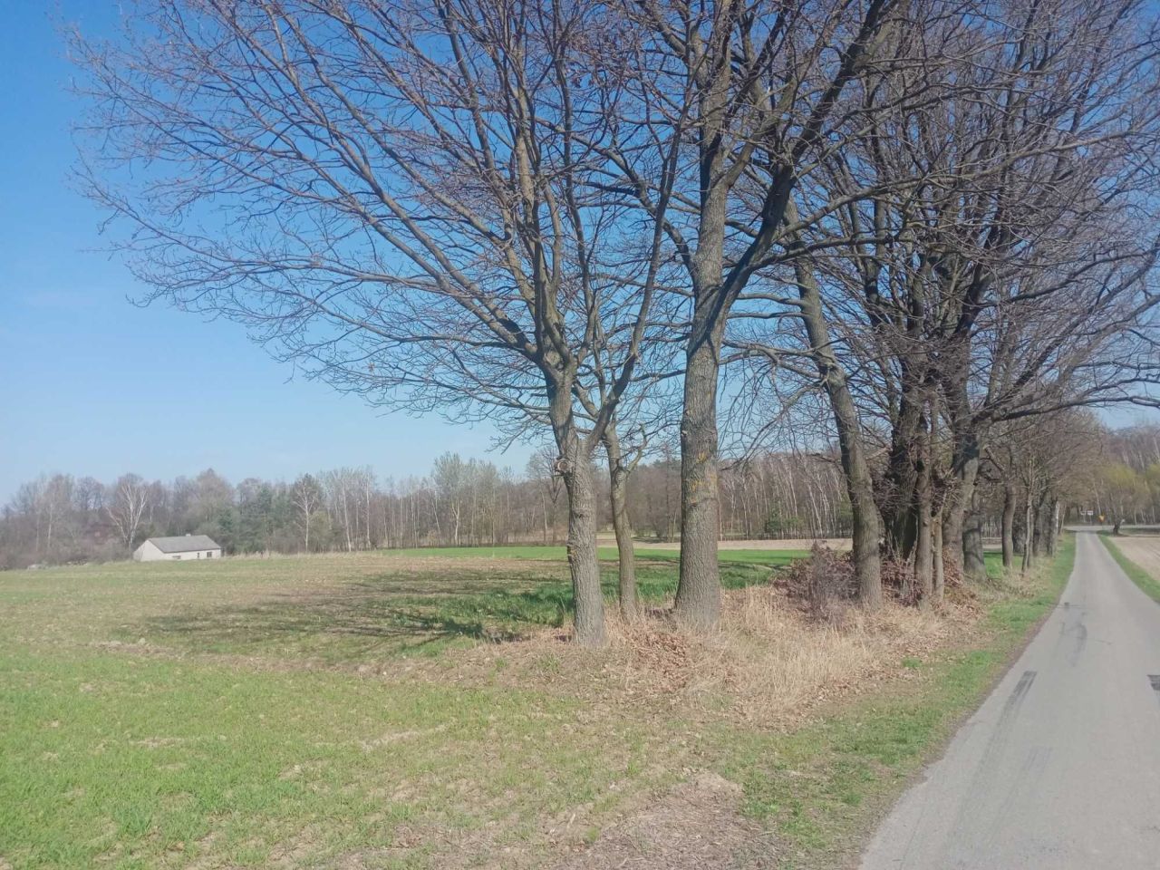 Działka budowlana Markowola-Kolonia. Zdjęcie 6