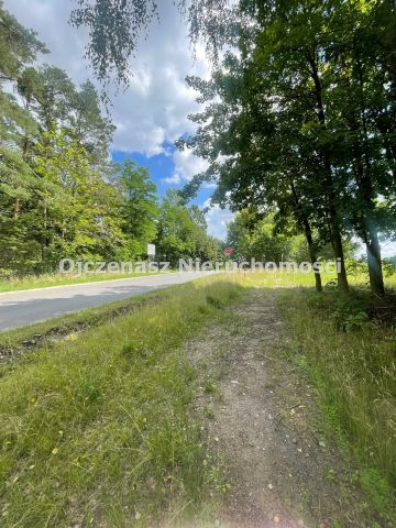 Działka leśna Toporzysko. Zdjęcie 6