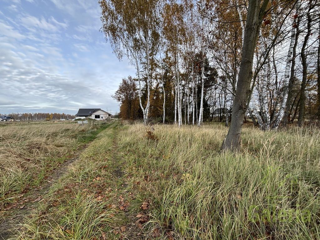 Działka budowlana Niedźwiedź. Zdjęcie 3