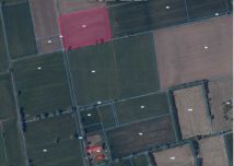 Działka rolna Markusy. Zdjęcie 2