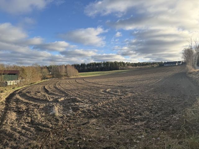 Działka budowlana Grzmiąca. Zdjęcie 1