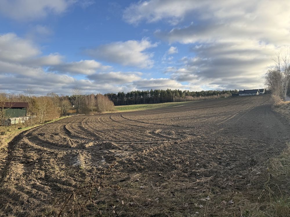 Działka budowlana Grzmiąca. Zdjęcie 1