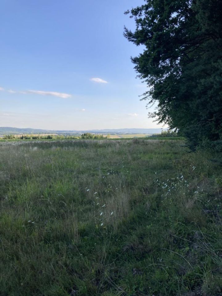 Działka rekreacyjna Słupice, ul. Krajobrazowa. Zdjęcie 2