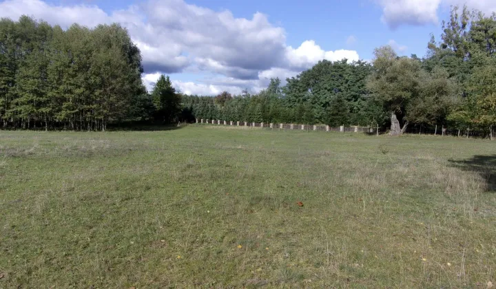 Działka budowlana Goraj