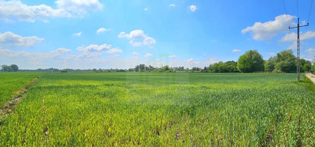Działka budowlana Bieniewice, ul. Słowicza. Zdjęcie 3