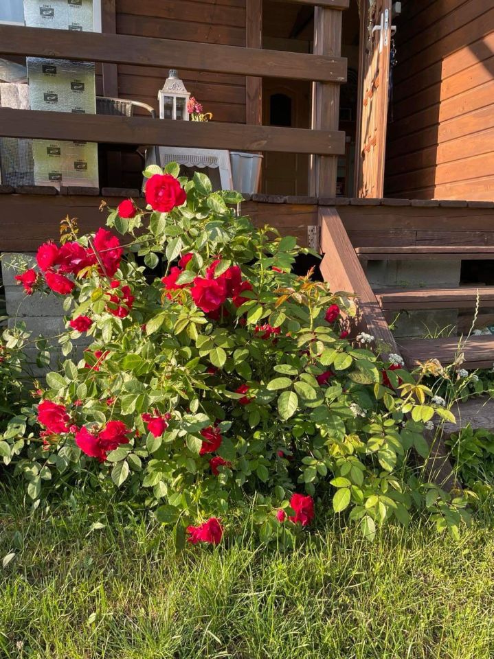 Działka rod Gdańsk Matarnia, ul. mjr. Mieczysława Słabego. Zdjęcie 8