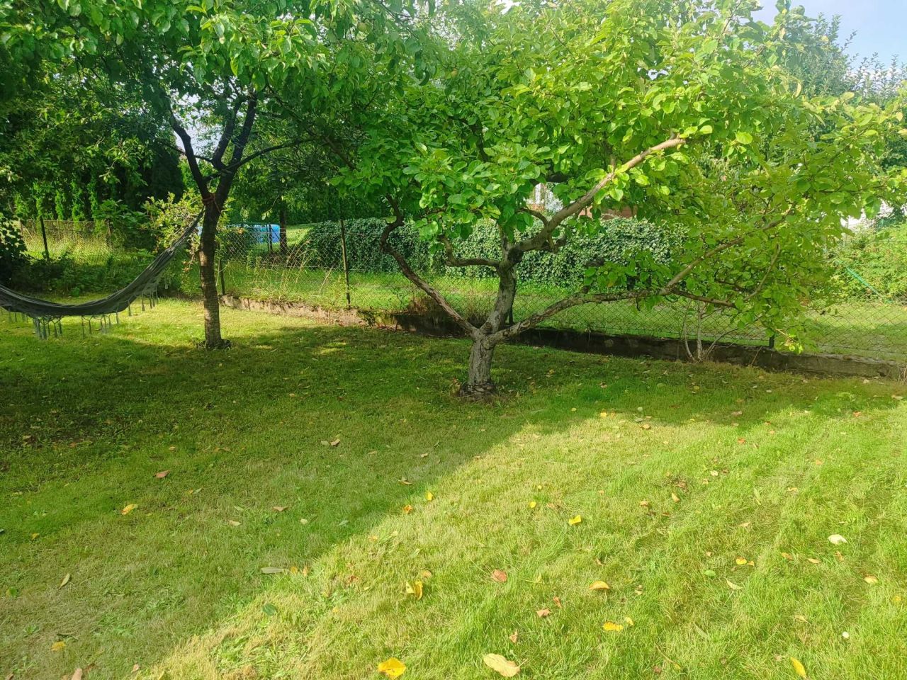 Działka rod Iława. Zdjęcie 4