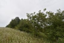 Działka budowlana Szerokie. Zdjęcie 3