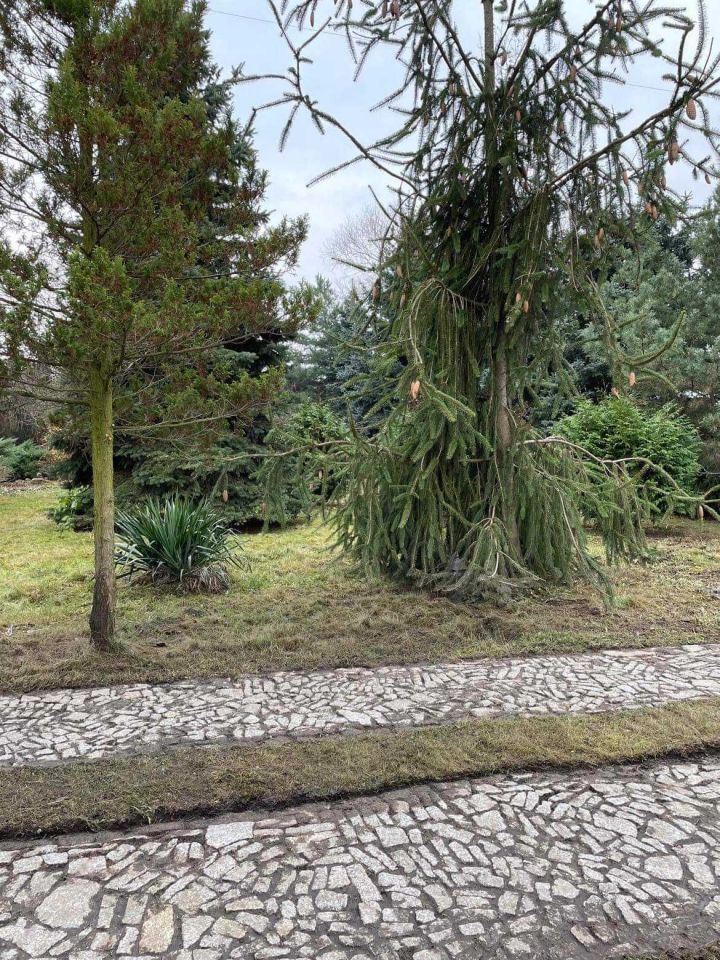 dom wolnostojący Piotrków Trybunalski, ul. Michałowska. Zdjęcie 4