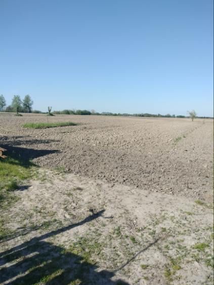 Działka budowlana Ignatów-Kolonia. Zdjęcie 3