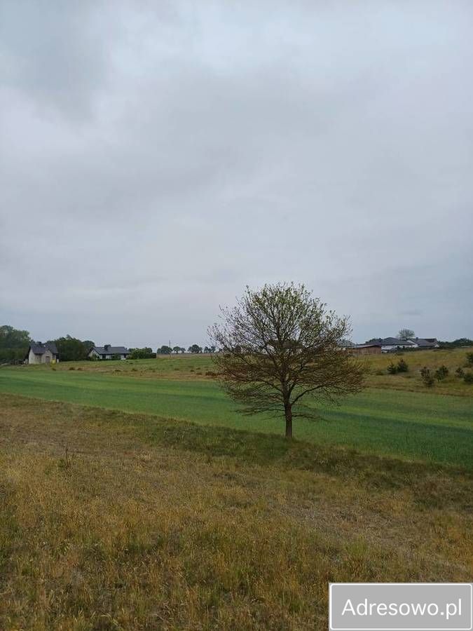 Działka inwestycyjna Kikorze. Zdjęcie 12