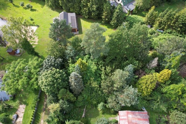 Działka siedliskowa Perlino, ul. Modrzewiowa. Zdjęcie 6